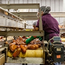 No visas for low-skilled workers – what impact will this have on food manufacturing?